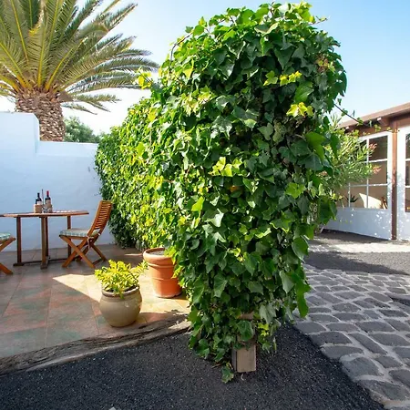 Casa El Rinconcito تيغيسي
